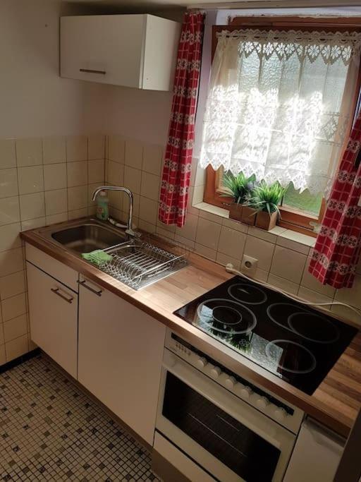 Idyllische Kleine Ferienwohnung Im Schwarzwald Friedenweiler Екстер'єр фото